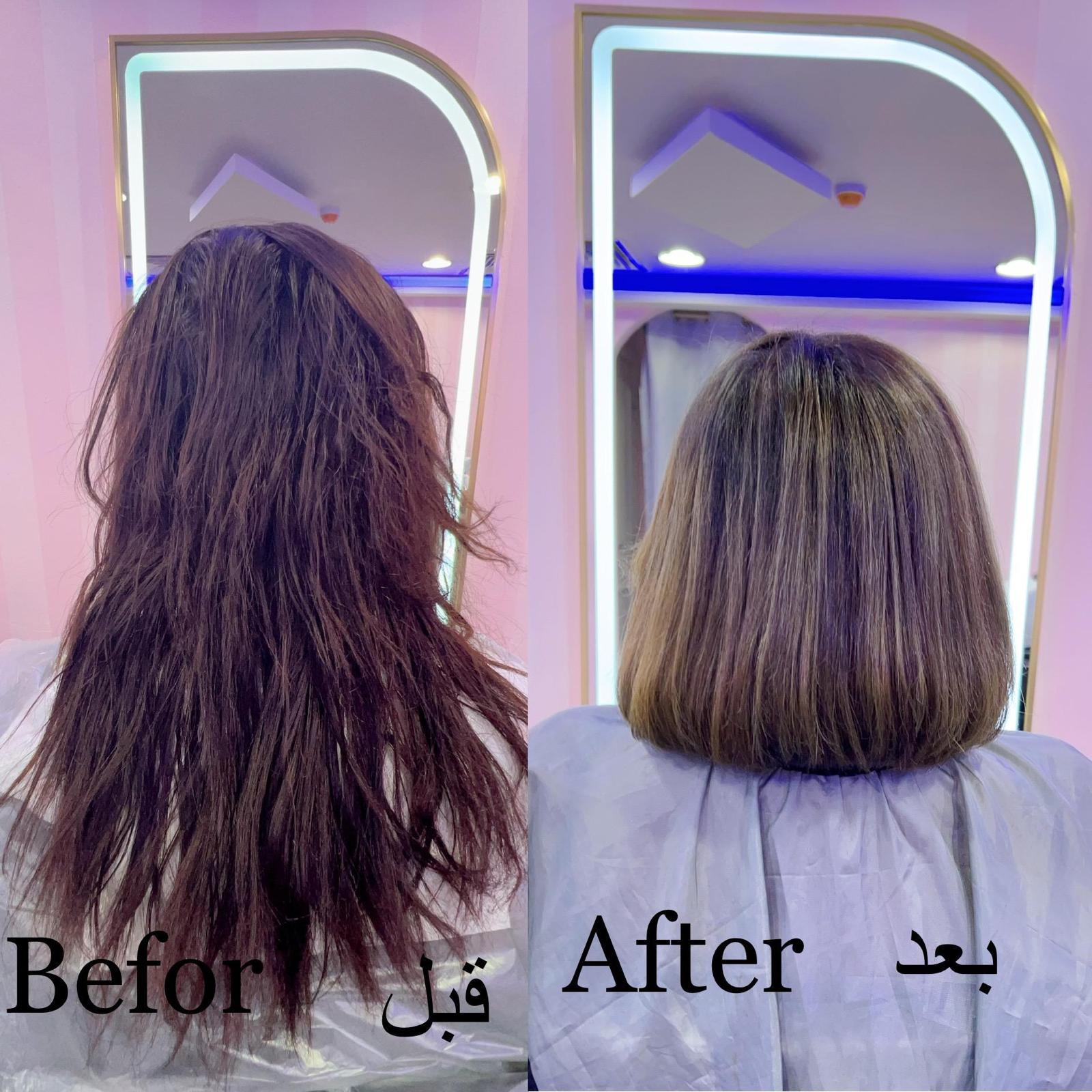 Hair comparison photograph as published in Sala’s gallery